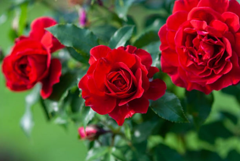 /pagegallery/2022012738.jpg